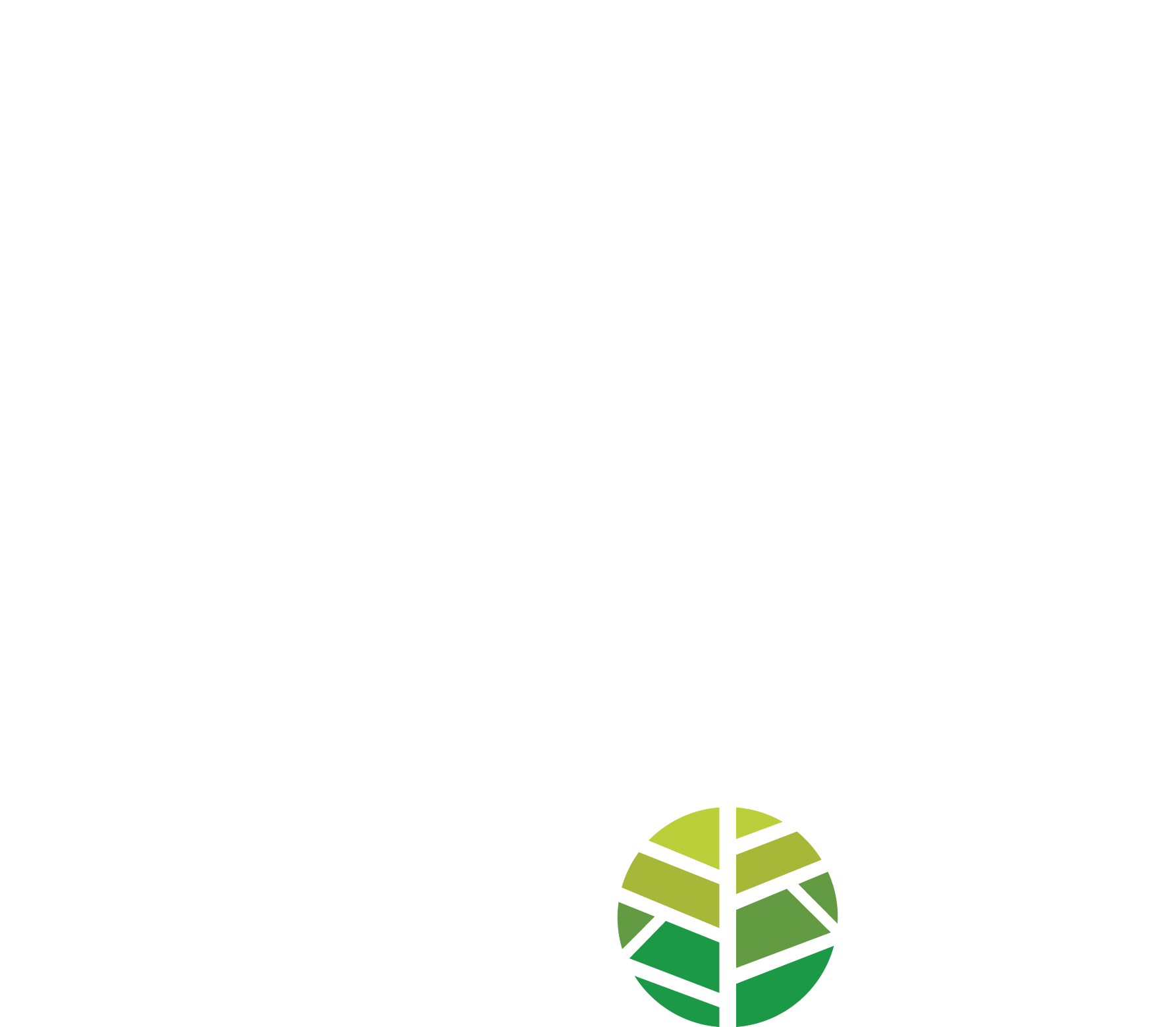 What We Offer layer 4